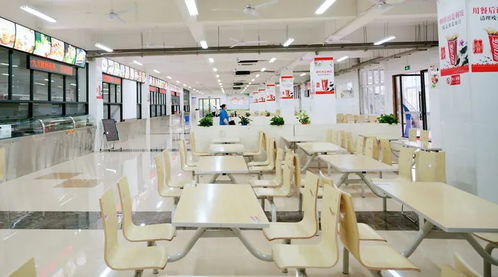 麗水130家學校、幼兒園獲評餐飲服務食品安全A級單位，打造會務保障新高地